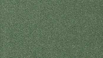 Ковролин Vorwerk Passion 1006 Vorwerk 4f79 фото 1 | FLOORDEALER