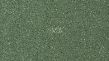 Ковролин Vorwerk Passion 1006 Vorwerk 4f79 фото 1 | FLOORDEALER