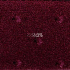 Ковролин Pullman Associated Weavers 11 фото 1 | FLOORDEALER