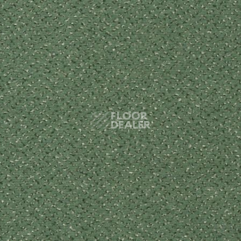 Ковролин Vorwerk Passion 1006 Vorwerk 4f79 фото 1 | FLOORDEALER