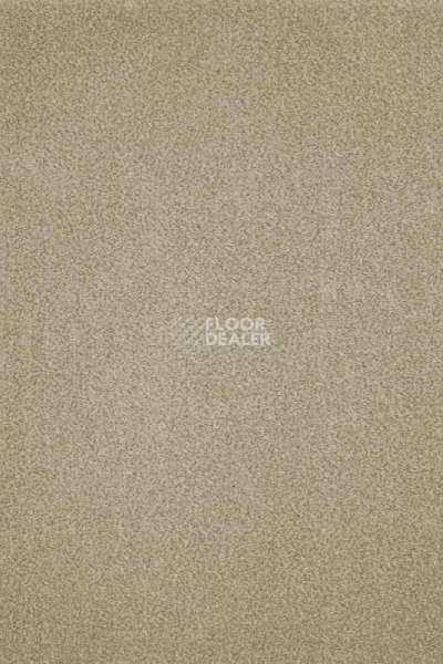 Ковролин AW Masquerade Moretta 39 фото 1 | FLOORDEALER