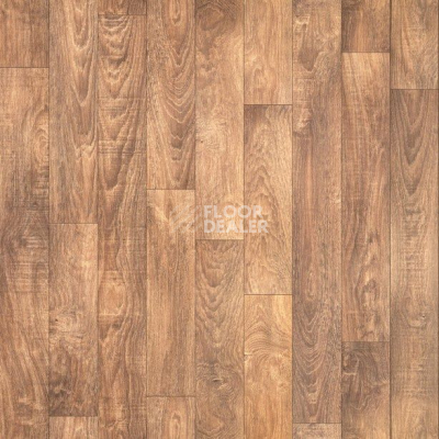 Линолеум Juteks Planeta BARON 8027 фото 1 | FLOORDEALER