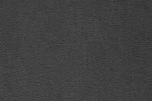 Ковролин Balta ITC President 96 фото  | FLOORDEALER