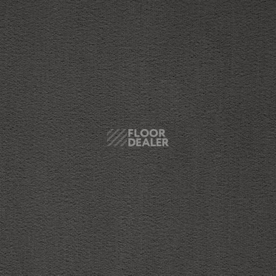 Ковролин Balta ITC President 96 фото 1 | FLOORDEALER