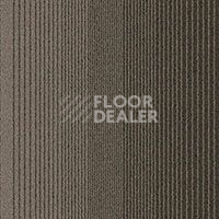 Ковровая плитка Ambient Ambient 549 фото 1 | FLOORDEALER