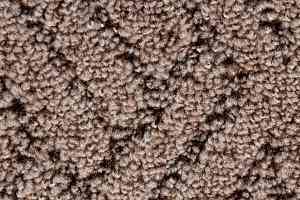 Ковролин Associated Weavers Jarek 34 фото  | FLOORDEALER