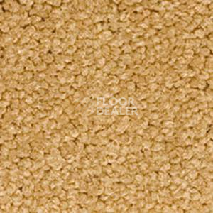 Ковролин Infloor Chiffon 200 фото 1 | FLOORDEALER