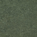 Линолеум Marmorette DLW 2.5mm 0083 Jungle  | FLOORDEALER