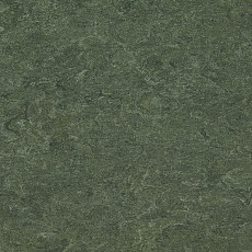 Линолеум Marmorette DLW 2.5mm 0083 Jungle фото 1 | FLOORDEALER