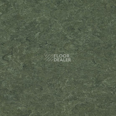 Линолеум Marmorette DLW 2.5mm 0083 Jungle фото 1 | FLOORDEALER