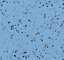 Кварцвиниловые полы GTI El5 Ev Cleantech 650x650 0354_blue фото 1 | FLOORDEALER