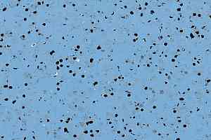 Кварцвиниловые полы GTI El5 Ev Cleantech 650x650 0354_blue фото  | FLOORDEALER