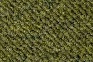 Ковровая плитка Ruscarpettiles London 1244 фото  | FLOORDEALER