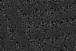 Ковролин Balsan Courchevel 960 фото  | FLOORDEALER