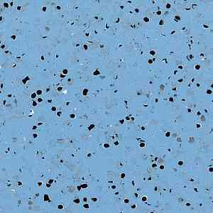 Виниловая плитка ПВХ GTI EL5 EV Cleantech 650x650 0354_blue фото ##numphoto## | FLOORDEALER
