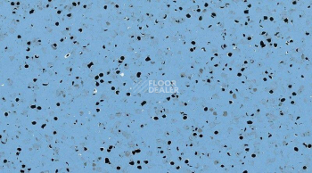 Кварцвиниловые полы GTI El5 Ev Cleantech 650x650 0354_blue фото 1 | FLOORDEALER