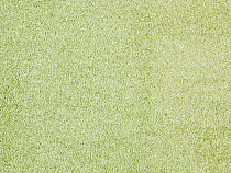 Ковролин ITC Carpe Diem Carpe Diem 020 фото 1 | FLOORDEALER