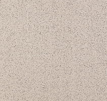 Керамогранит Standard Керамогранит 30x30x12 st 101 30x30 Непол. (Керамический гранит) 12мм фото 1 | FLOORDEALER