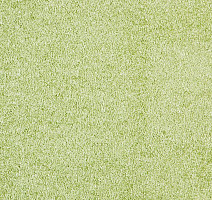 Ковролин ITC Carpe Diem Carpe Diem 020 фото 1 | FLOORDEALER