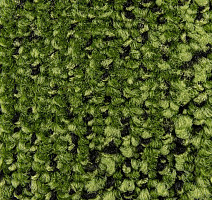 Balsan Take a Walk 240 Take a Walk фото 3 | FLOORDEALER