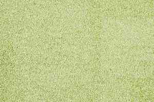 Ковролин ITC Carpe Diem Carpe Diem 020 фото  | FLOORDEALER