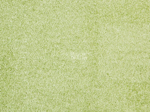 Ковролин ITC Carpe Diem Carpe Diem 020 фото 1 | FLOORDEALER