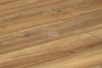 Alix Floor Regista 8мм D1873 Дуб Терра фото 3 | FLOORDEALER