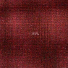 Carpet Concept Eco 500 6927 фото 1 | FLOORDEALER