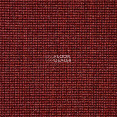 Ковролин Carpet Concept Eco 500 6927 фото 1 | FLOORDEALER