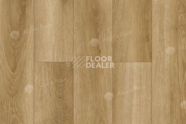 Ламинат Alpine Floor Intensity 12мм LF101-05 Дуб Генуя фото 1 | FLOORDEALER