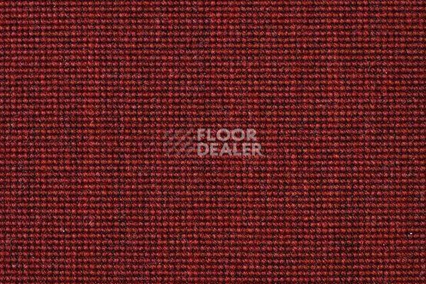 Ковролин Carpet Concept Eco 500 6927 фото 1 | FLOORDEALER