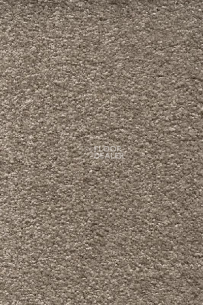 Ковролин AW Omnia 49 фото 1 | FLOORDEALER