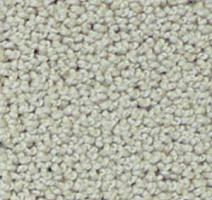 Ковролин Infloor Campino 820 фото 1 | FLOORDEALER