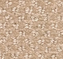 Ковролин Balsan Aquarelle Aquarelle 615 фото 1 | FLOORDEALER