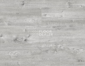 Ламинат Kronopol Platinium Enigma AQUA BLOCK 8mm Kronopol Platinium Enigma Aqua Block 24h Дуб Тейлор D4911 фото 1 | FLOORDEALER