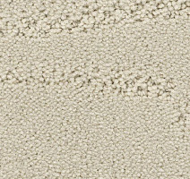 Ковролин Balsan Prado 605 фото 1 | FLOORDEALER