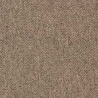 Desso Essence 2925 фото 1 | FLOORDEALER