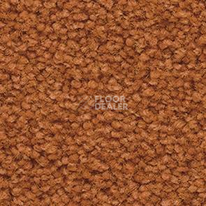 Ковролин Balsan Les First Les First 440 фото 1 | FLOORDEALER