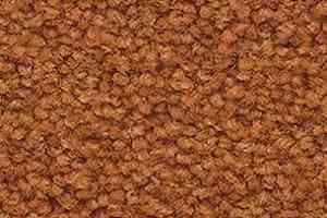 Ковролин Balsan Les First Les First 440 фото  | FLOORDEALER