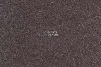 Линолеум Forbo Marmoleum Solid Walton 3353-335335 eggplant purple фото 1 | FLOORDEALER