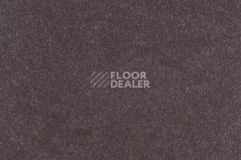 Линолеум Forbo Marmoleum Solid Walton 3353-335335 eggplant purple фото 1 | FLOORDEALER