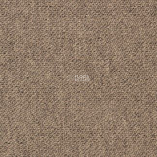 Desso Essence 2925 фото 1 | FLOORDEALER