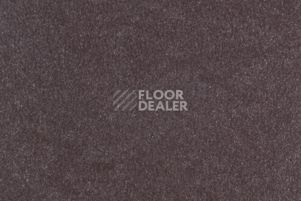 Линолеум Forbo Marmoleum Solid Walton 3353-335335 eggplant purple фото 1 | FLOORDEALER