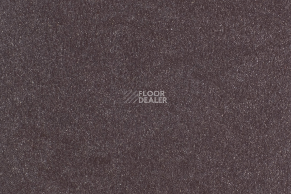 Линолеум Forbo Marmoleum Solid Walton 3353-335335 eggplant purple фото 1 | FLOORDEALER