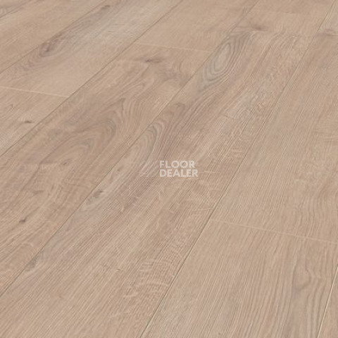 Ламинат Terhurne Classic Line 192мм 1859  Дуб Светло - Бежевый  1101020825 фото 1 | FLOORDEALER