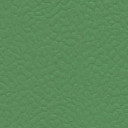 Линолеум Recreation 60 Wood 6556_Verde  | FLOORDEALER