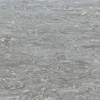 Линолеум Tarkett Alfa Standard Alfa 104 фото 1 | FLOORDEALER