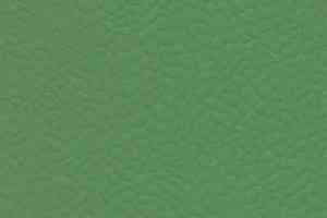 Линолеум Recreation 60 Wood 6556_Verde фото  | FLOORDEALER