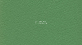 Линолеум Recreation 60 Wood 6556_Verde фото 1 | FLOORDEALER