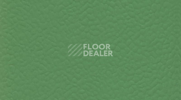 Линолеум Gerflor Recreation 60 Wood 6556_Verde фото 1 | FLOORDEALER